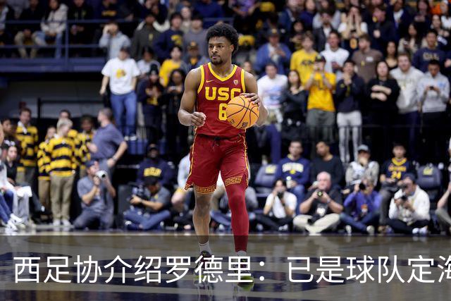 西足协介绍罗德里：已是球队定海神针，带领年轻球员向世界杯冲击